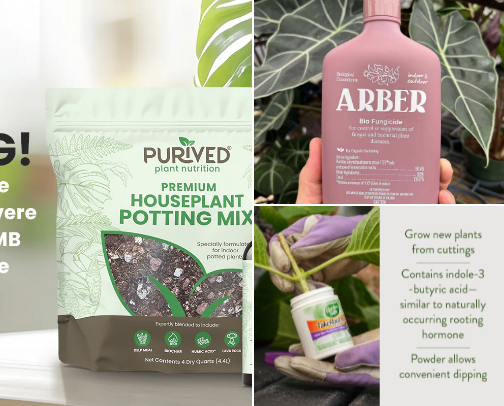 Healthy Plants cover photo collage