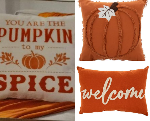 Cutie Fall Decor! cover photo collage