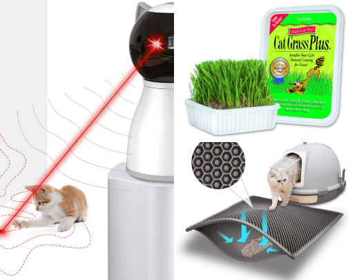Essentials For Happy Healthy Kittens & Cats cover photo collage