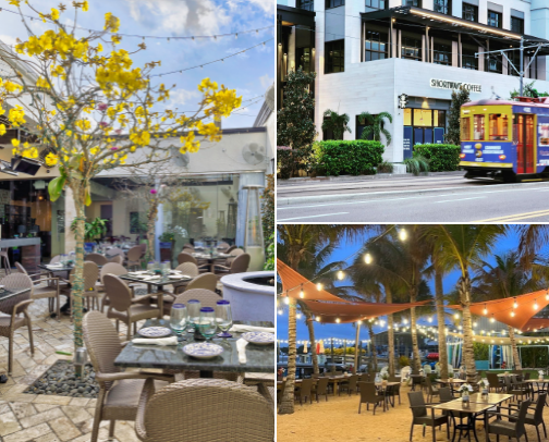 My top Tampa recs cover photo collage