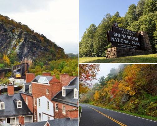 feeling like fall in the dmv 🍂 cover photo collage