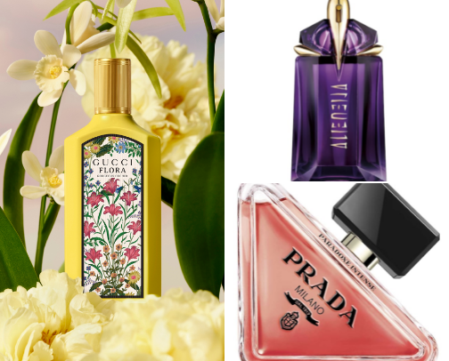scent obsession⭐️ cover photo collage
