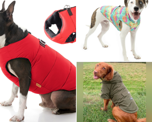 How I Finally Stopped My Small Dog From Shivering on Winter Walks cover photo collage