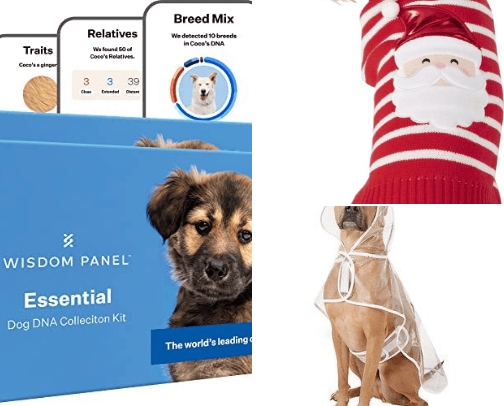 Everything for pets!💘 cover photo collage