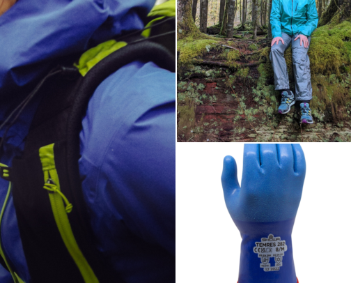 Gear I Wish I Had Before Hiking Meares Island Big Tree Trail Tofino cover photo collage