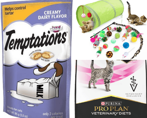 My cats are literally obsessed! cover photo collage