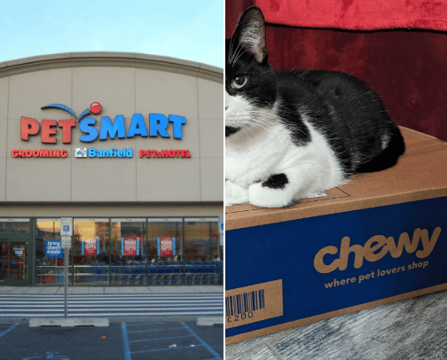 My Favorite Pet Supply Stores cover photo collage