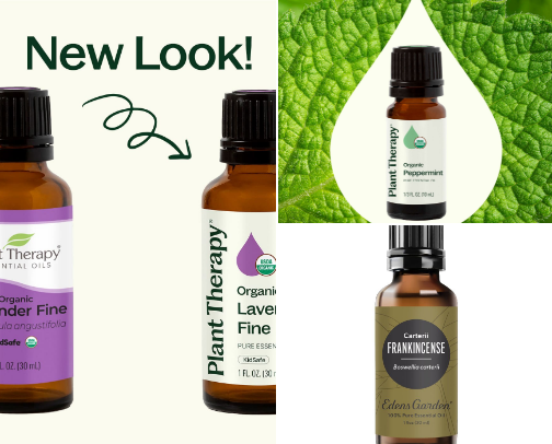 "The 'Quiet Luxury' Home Scent Routine: How to Make Your Space Smell Like a 5-Star Hotel" cover photo collage