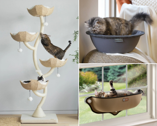 The 2026 Feline & Canine Essential Guide: 15 Must-Have Products for a Happier, Healthier Pet Cat cover photo collage