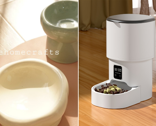 Cat Essentials My Cat Is Obsessed With cover photo collage