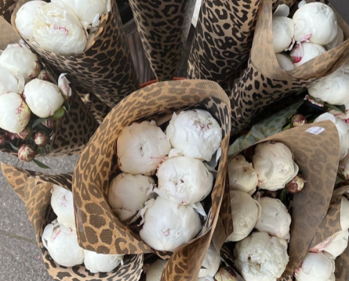 Effortless Chic: Must-Have Spring Pieces🌸 cover photo collage