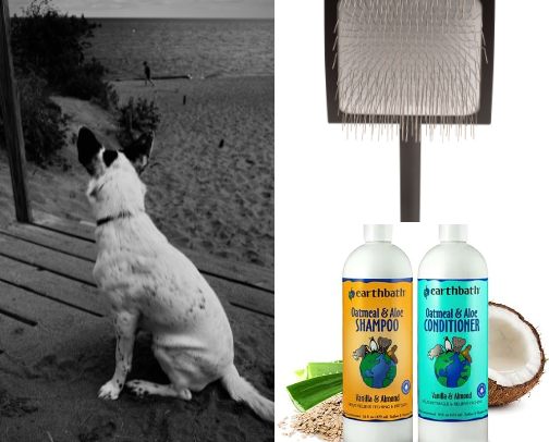 Happy Healthy Dogs - Grooming cover photo collage
