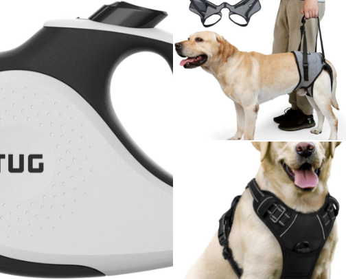 Doggy Do’s cover photo collage