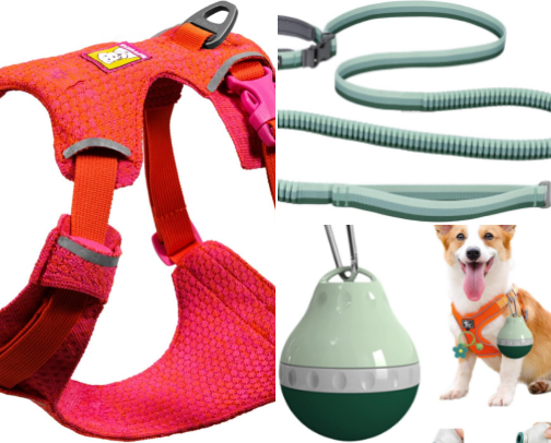 Everything I Use Running With My Husky cover photo collage