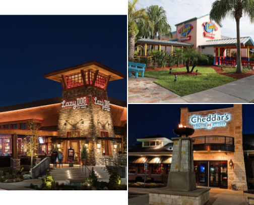 Things To Do In Central Florida cover photo collage