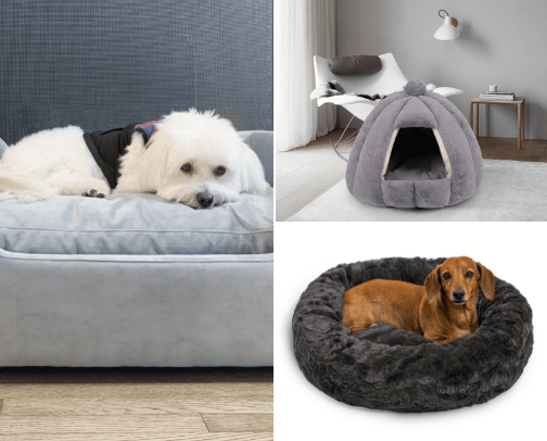 Things for dogs💜 cover photo collage
