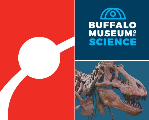 🔭🚀 Favorite Science and Nature TikTok Accounts 🌳🌎 cover photo collage