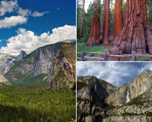 Yosemite National Parks Must See! cover photo collage