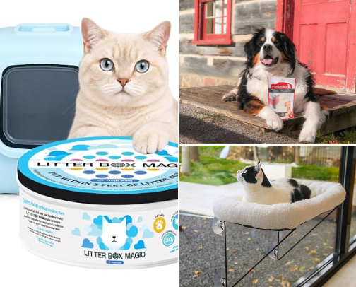 The little things that make life with my pet more beautiful 🐾🤍 cover photo collage