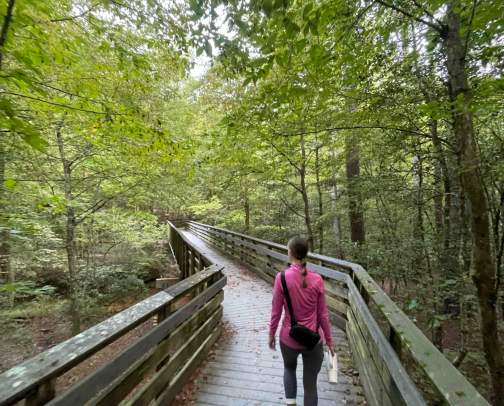 Rooted in Wellness cover photo collage