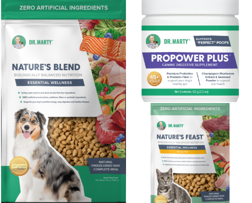 Best Dog Products That Actually Solve a Problem cover photo collage