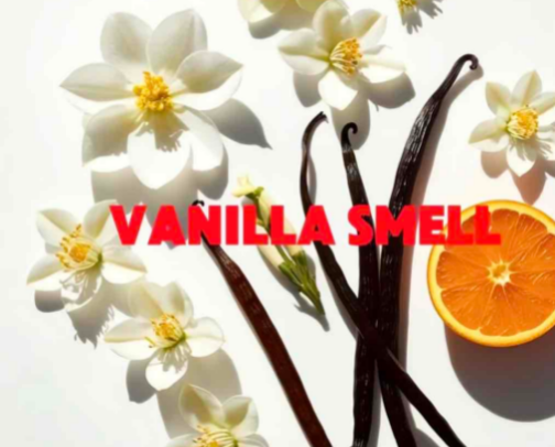 Vanilla scented girly 🍨🍦 cover photo collage