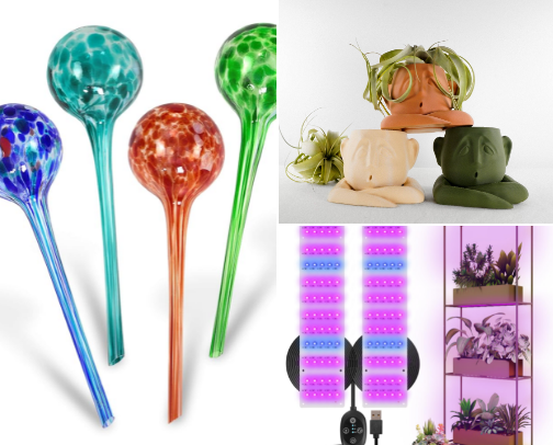 Plant Girl Chaos: Tools, Decor & Unhinged Joy 🪴🌿 cover photo collage