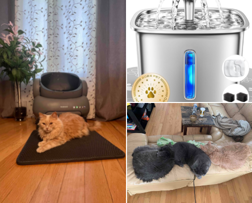 Smart Pet Care Must-Haves 🐾 cover photo collage