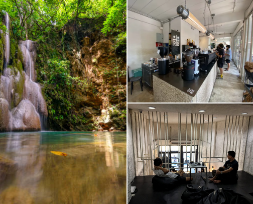 Must-Visits in Chiang Mai, Thailand (Recs from a Thai Local) cover photo collage