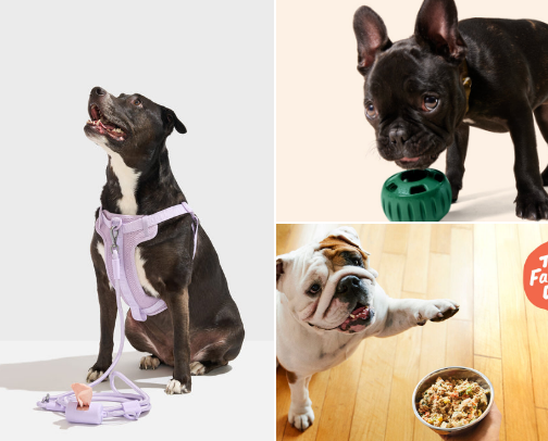 Dog Must-Haves: Essentials Every Dog Owner Needs cover photo collage
