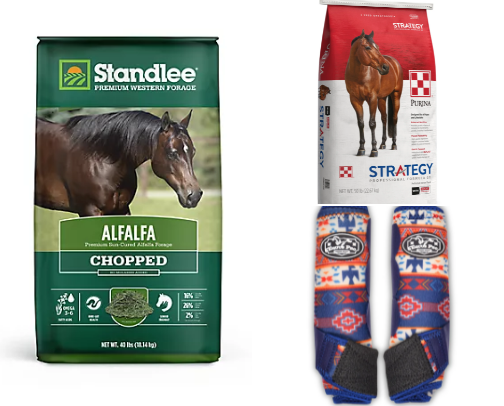 House and Horse cover photo collage