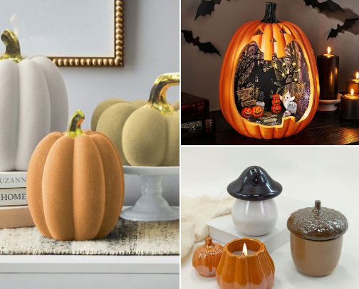 Everything Sam's! Fall edition cover photo collage