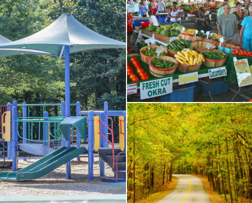Best Activities & Restaurants in Raleigh NC cover photo collage