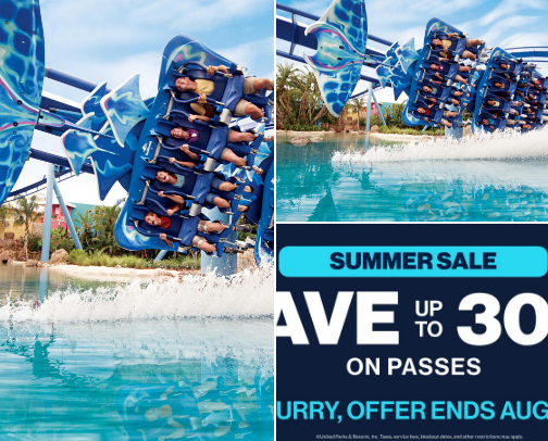 SeaWorld Orlando Tips, Tricks & Hacks: A Local's Guide to Doing the Marine Park Right cover photo collage