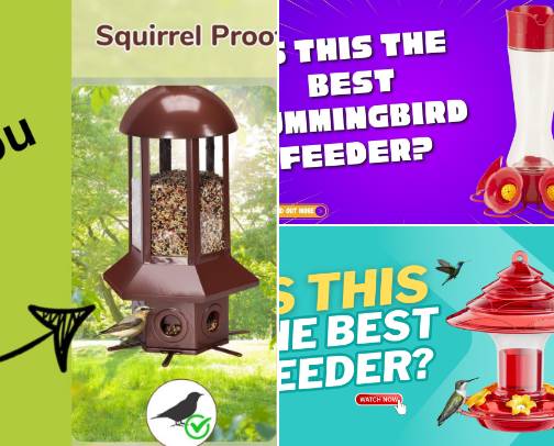 Bird Feeders cover photo collage