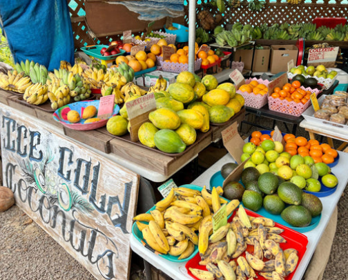 grocery shopping go-tos 🛒 cover photo collage