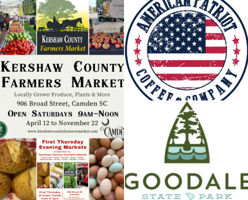 things to do cover photo collage