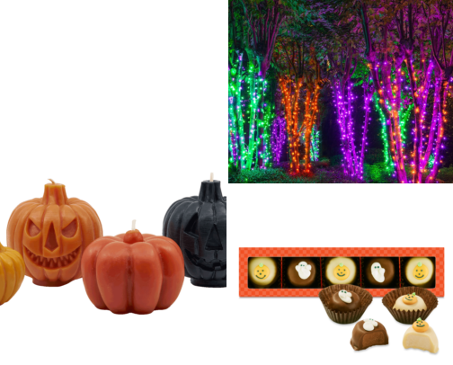 🎃 Halloween & Fall Finds cover photo collage
