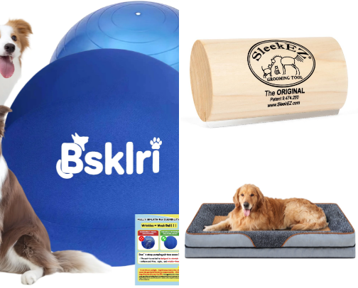 Your puppers next favorite items cover photo collage