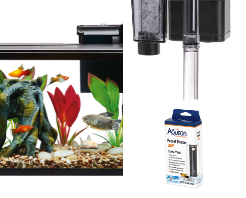COMPLETE Betta Fish Tank and Care Guide cover photo collage