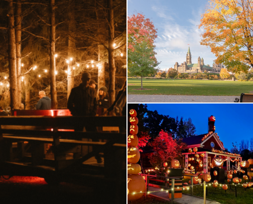 Ottawa Fall Activities 2026: Paid Events, Free Things to Do and What to Bring cover photo collage