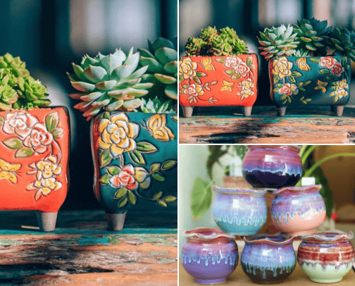 Aesthetic Indoor Plant cover photo collage