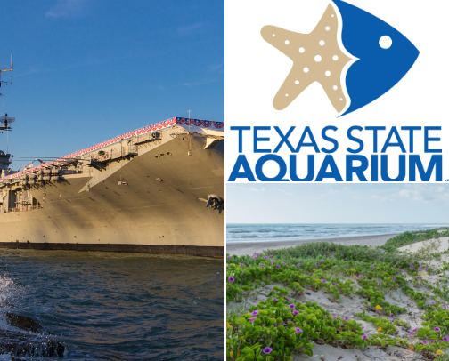 Sight See in Corpus Christi cover photo collage