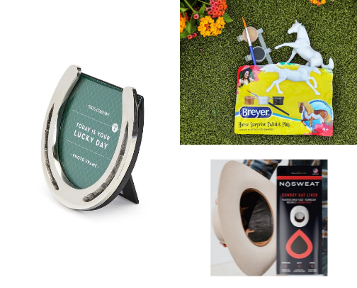 Equestrian Stocking Stuffers cover photo collage