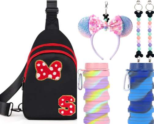 Disney World Must Haves cover photo collage