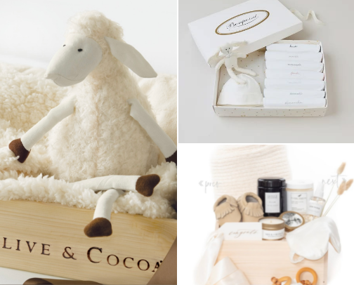 Newborn gift set cover photo collage