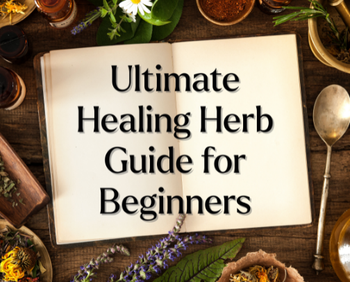 The Beginner's Guide to Herbal Plants You Need to Heal at Home cover photo collage