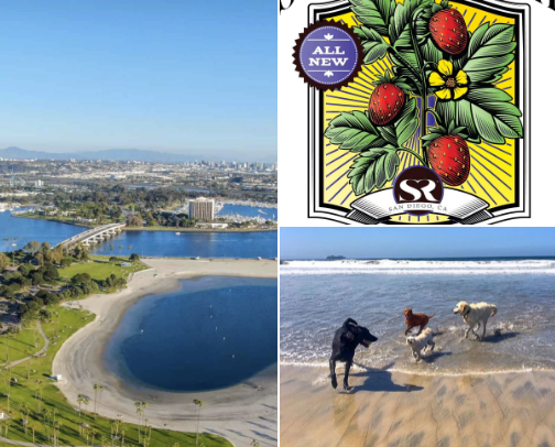 Things to do in San Diego cover photo collage