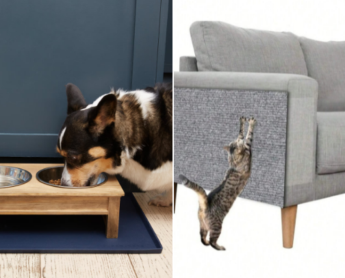 How to create a pet friendly home plus affordable pet products & freebie cover photo collage