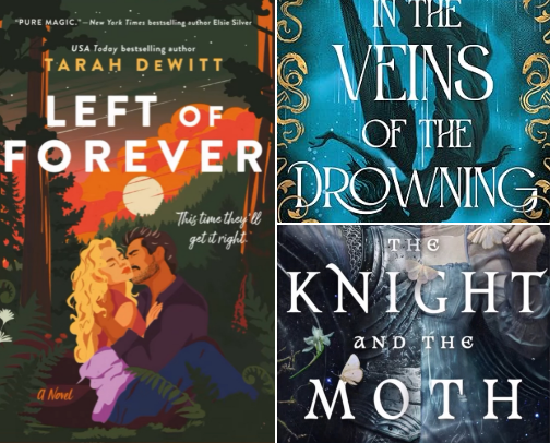 My favorite reads of 2025 cover photo collage